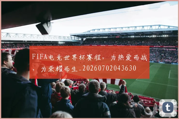 FIFA电竞世界杯赛程，为热爱而战，为荣耀而生_20260702043630