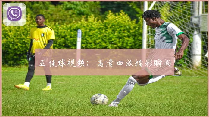 五佳球视频:高清回放精彩瞬间
